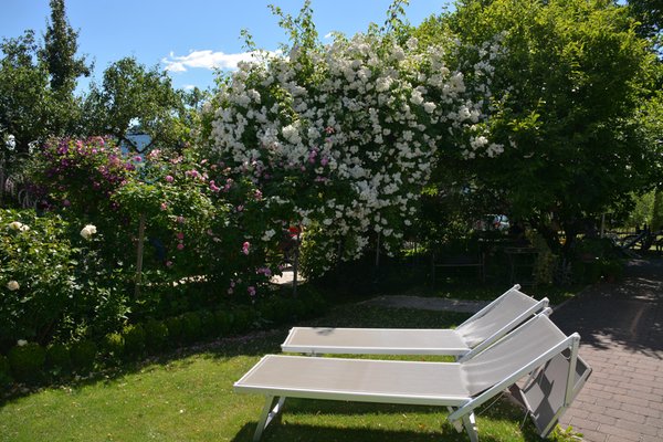 Foto del giardino Sciaves
