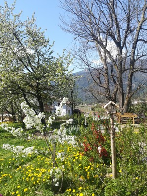 Foto del giardino Sciaves