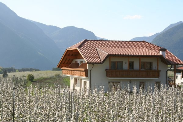Photo exteriors Farmhouse apartments Stoanpeppele Hof
