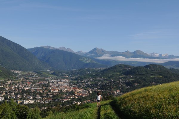 Photo gallery Bressanone / Brixen summer