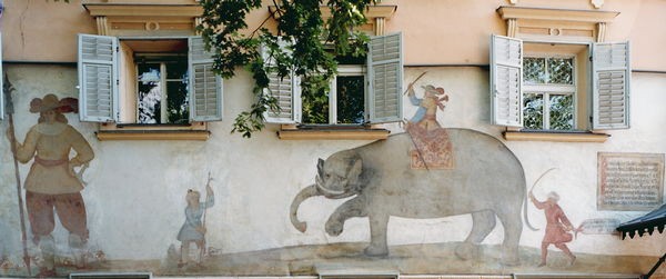 Immagine Hotel Elephant