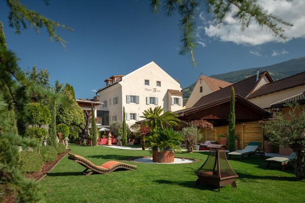 Foto esterno in estate Hotel Traube