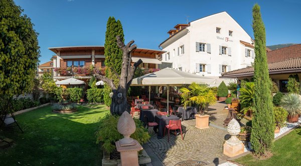 Foto esterno in estate Hotel Traube