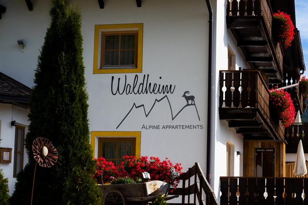 Foto esterno in estate Waldheim Alpine Appartements
