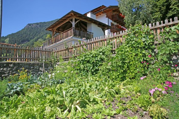Photo of the garden Varna / Vahrn