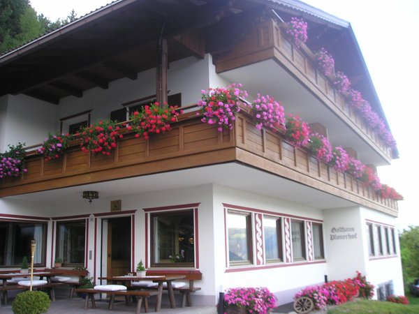Sommer Präsentationsbild Hotel Biogasthaus Plonerhof