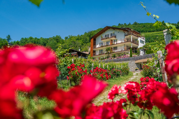 Photo exteriors B&B + Apartments Haus Karin