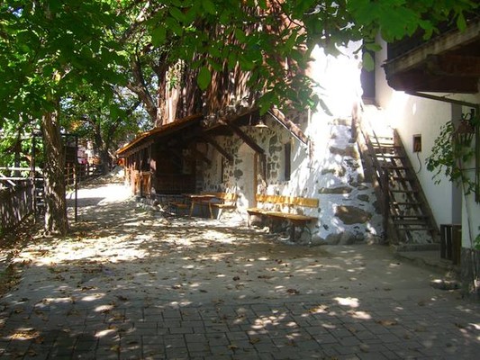 Photo of the garden Varna / Vahrn