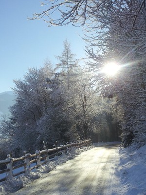 Photo gallery