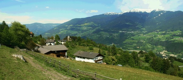 Position Farmhouse B&B + Apartments Gfaderhof Bressanone / Brixen