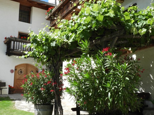 Photo exteriors Farmhouse B&B + Apartments Strasserhof
