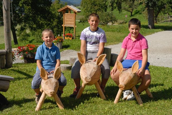 Foto vom Garten St. Andrä (Urlaubsregion Brixen)