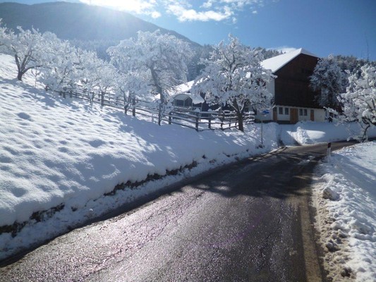 Foto esterno B&B + Appartamenti in agriturismo Baumannhof