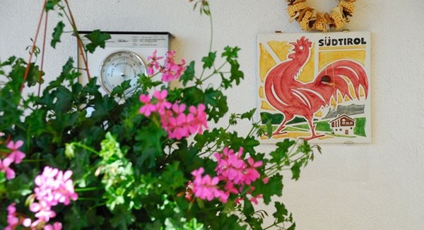 Photo of some details Stocknerhof