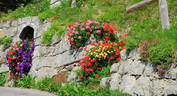 Photo of the garden Bressanone / Brixen