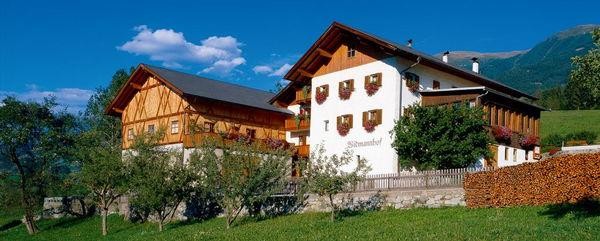 Foto esterno Appartamenti in agriturismo Widmannhof