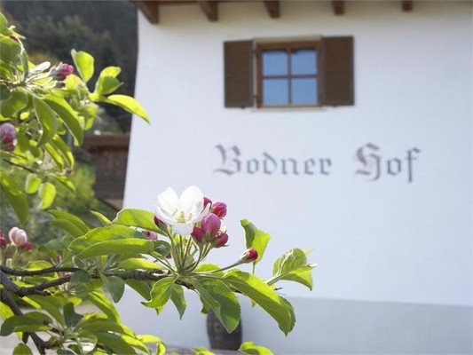 Foto esterno Appartamenti in agriturismo Bodnerhof