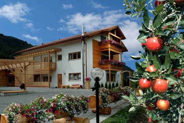 Foto estiva di presentazione Appartamenti in agriturismo Obermoarhof