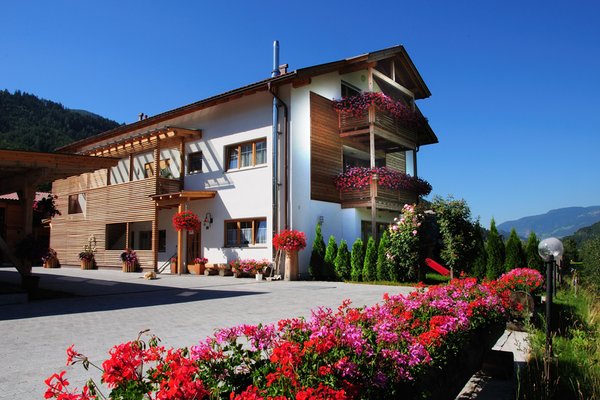 Foto Außenansicht im Sommer Obermoarhof