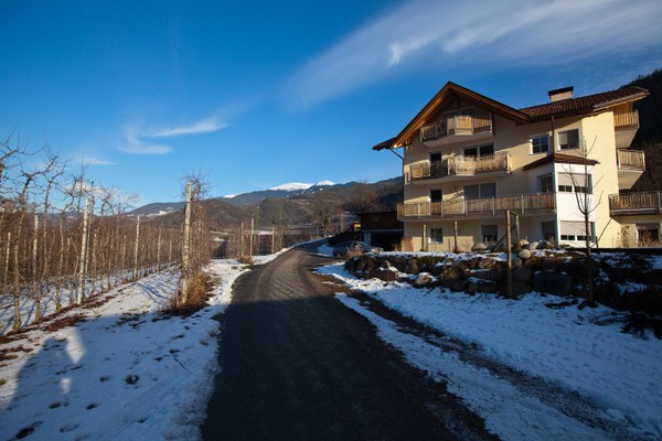 Photo exteriors Farmhouse apartments Untersteinerhof