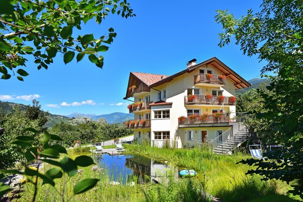 Sommer Präsentationsbild Ferienwohnungen auf dem Bauernhof Untersteinerhof