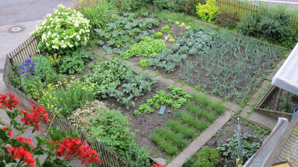 Foto del giardino Luson