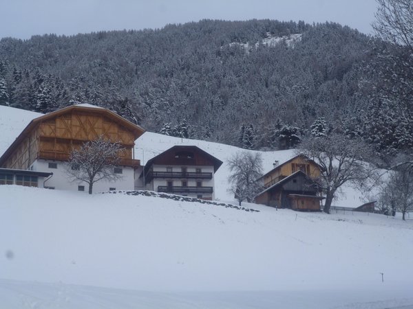 Foto invernale di presentazione Appartamenti in agriturismo Grossplonerhof