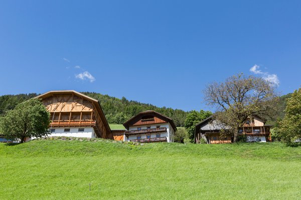 Foto esterno in estate Grossplonerhof