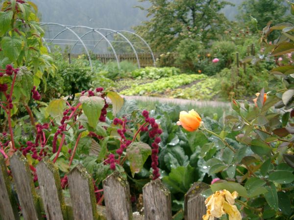 Foto del giardino Luson