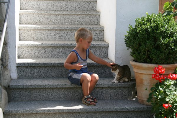 Foto degli animali
