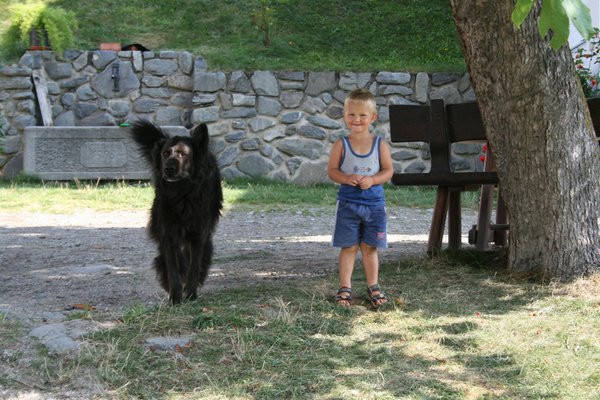 Foto degli animali