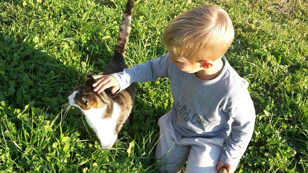 Foto degli animali