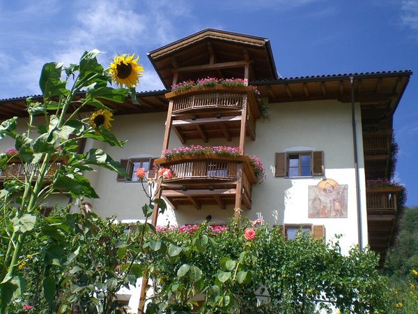 Sommer Präsentationsbild Ferienwohnungen auf dem Bauernhof Gasser - Obergostnerhof
