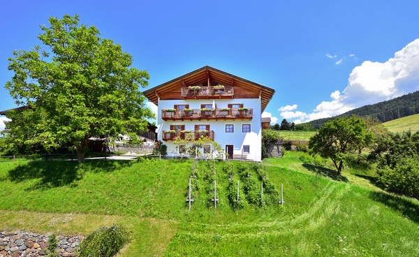 Foto Außenansicht Ferienwohnungen auf dem Bauernhof Feilerhof