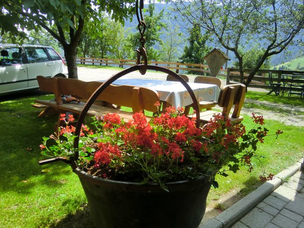Foto del giardino Lazfons