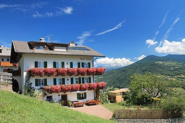 Foto esterno Bed & Breakfast Haus Urban