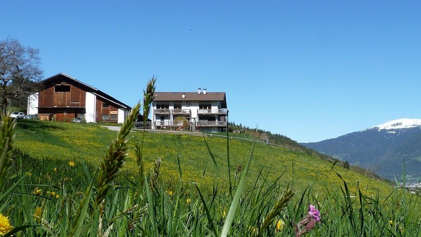 Photo exteriors Farmhouse apartments Oberhauserhof