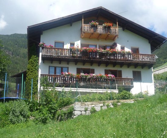 Foto Außenansicht im Sommer Mittermüllerhof