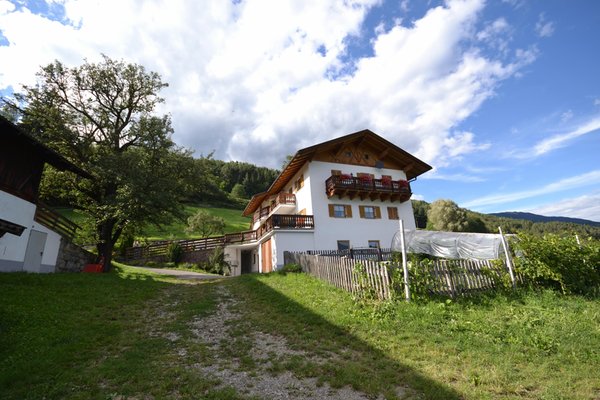 Foto Außenansicht im Sommer Gnoler Hof