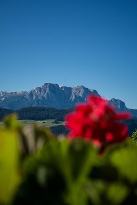 Aussicht vom Betrieb