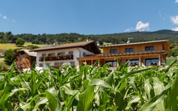 Foto esterno in estate Schweiggerhof