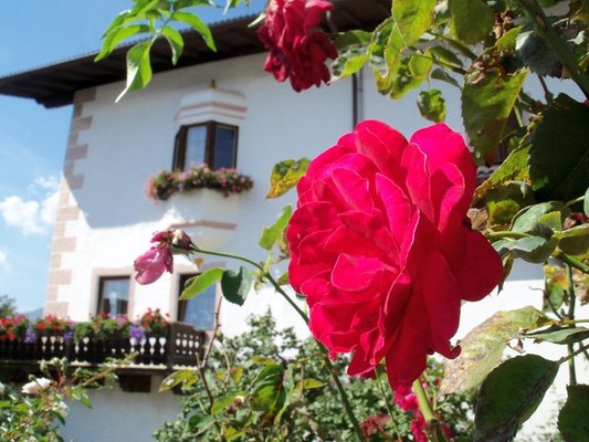 Foto Außenansicht Garni + Ferienwohnungen Tschutscherhof