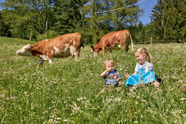 Foto vom Garten Lajen