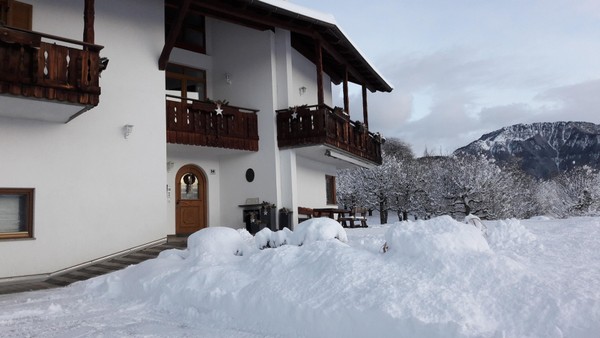 Foto Außenansicht B&B + Ferienwohnungen auf dem Bauernhof Bonichhof