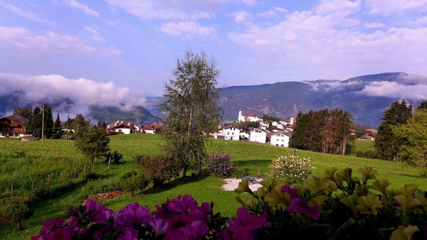 Foto del giardino Laion
