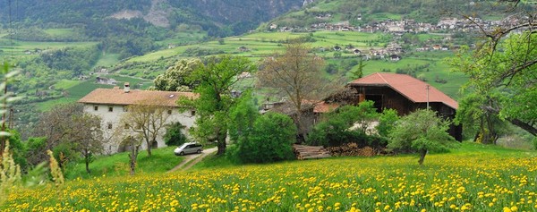 Bildergalerie