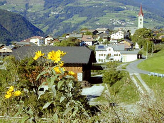 Panorama Laion