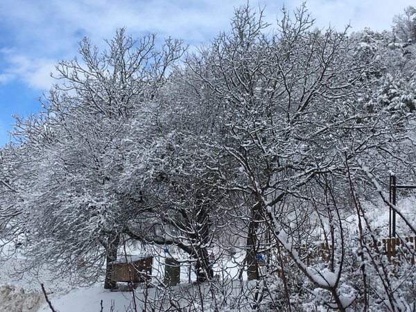 Gallery inverno