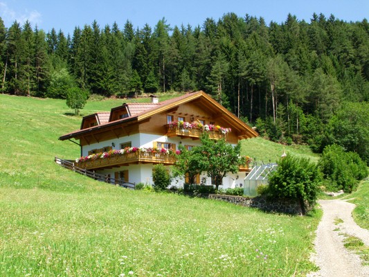 Foto esterno Appartamenti Bergblick