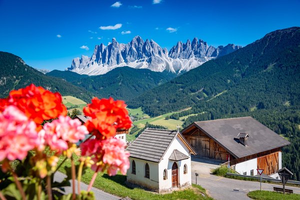 Vista dalla struttura